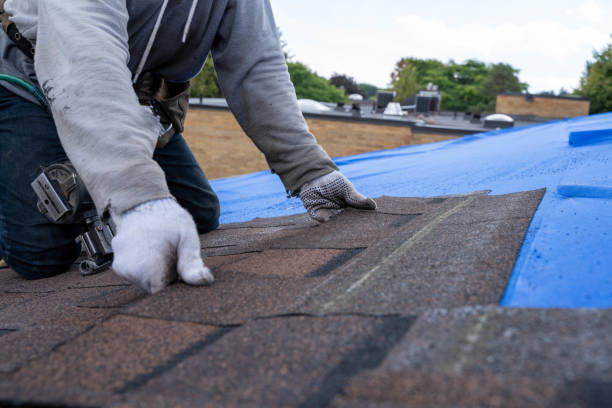 Best Storm Damage Roof Repair  in Herrin, IL