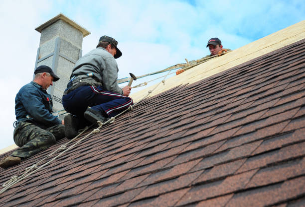 Best Roof Maintenance Services  in Herrin, IL