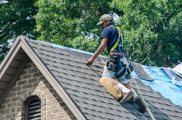 Gutter Installation and Roofing in Herrin, IL